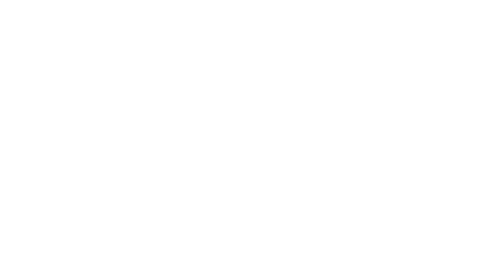 Borges Hotel Fazenda